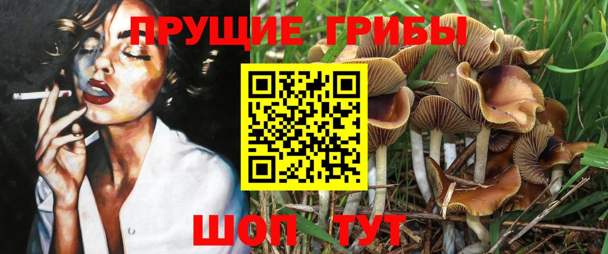 Псилоцибиновые грибы прущие грибы  Вход с VPN  Лесозаводск 